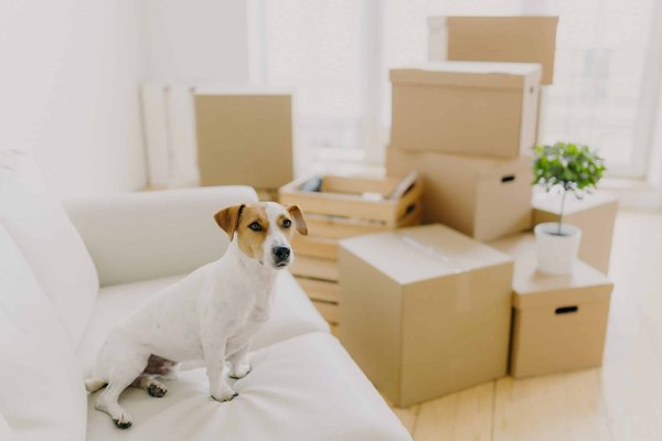 Les astuces pour créer un look féminin et confortable à la fois